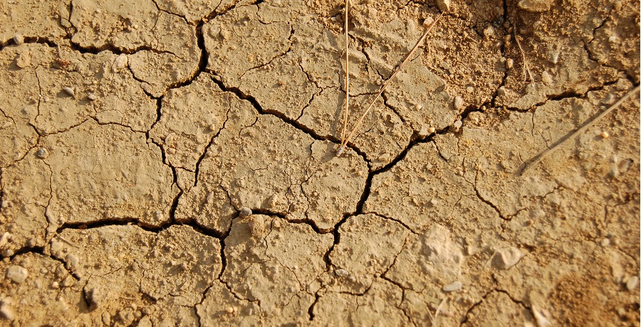 assenza-piogge-caldo-asfissiantee-allerta-siccita